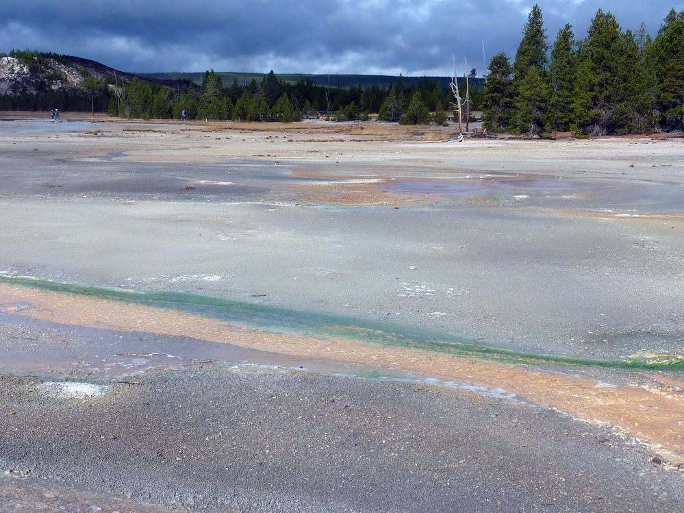 Yellowstone Norris Geyser (108).JPG
